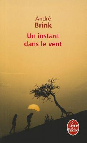 Carte Un Instant Dans Le Vent A. Brink