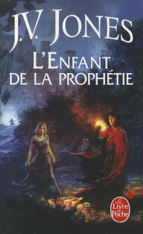 Kniha Le Livre Des Mots T01 Enfant de La Prophetie J. V. Jones