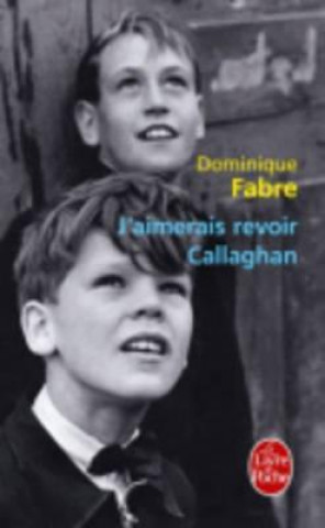 Livre J'Aimerais Revoir Callaghan Dominique Fabre