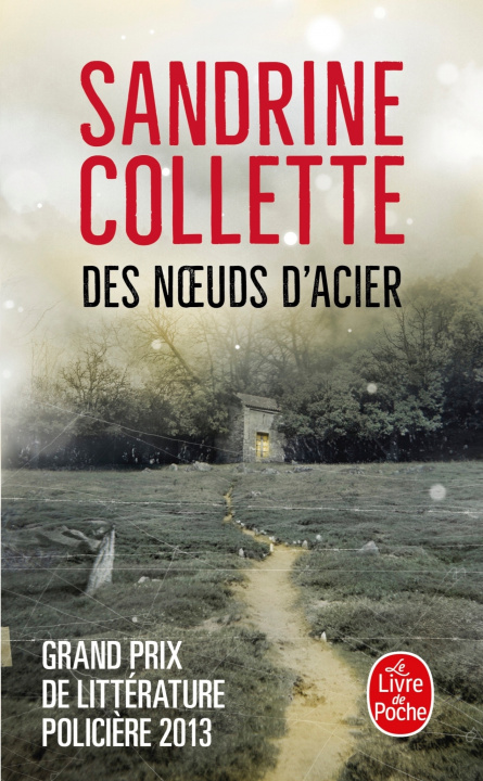 Knjiga Des noeuds d'acier Sandrine Collette