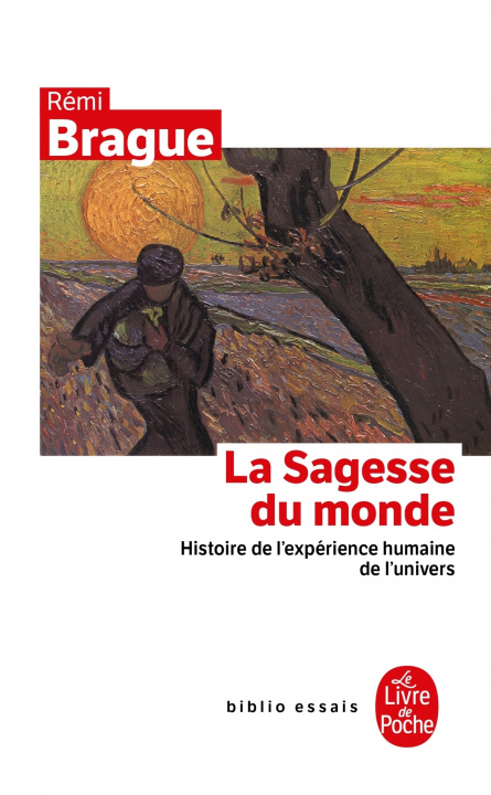 Kniha La Sagesse Du Monde R. Brague