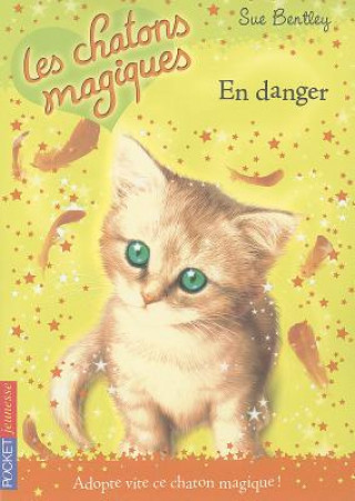 Könyv En Danger = Moonlight Mischief Sue Bentley