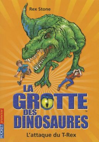 Kniha Grotte Dinosaures N01 Attaque Rex Stone