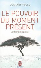 Книга Le pouvoir du moment présent Eckhart Tolle
