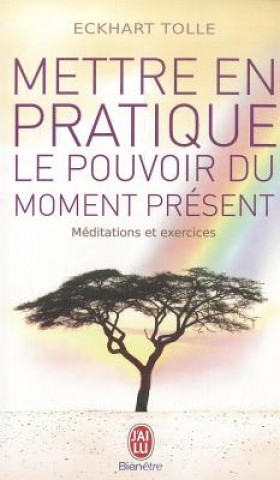 Könyv Mettre En Pratique Le Pouvoir Du Moment Eckhart Tolle