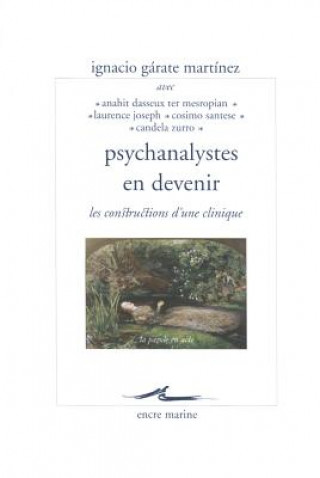 Könyv Psychanalystes En Devenir: Les Constructions D'Une Clinique Anahit Dasseux Ter Mesropian