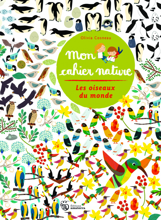 Kniha Oiseaux Du Monde(les) Cosneau Olivia