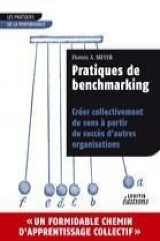 Kniha Pratiques de benchmarking Florent A. Meyer