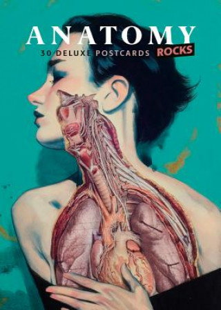 Knjiga Anatomy Rocks: 30 Deluxe Postcards Lachat
