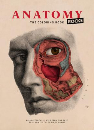 Книга Anatomy Rocks: The Coloring Book Lachat