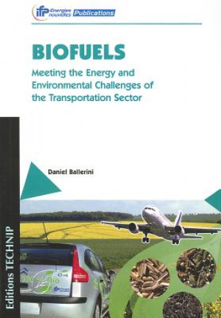 Kniha Biofuels Daniel Ballerini