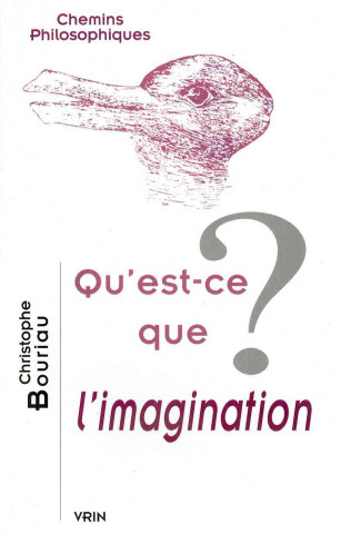 Kniha Qu'est-Ce Que L'Imagination? Christophe Bouriau