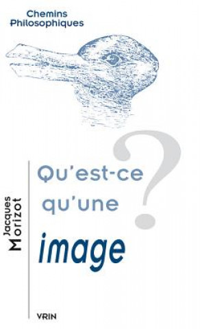 Book Qu'est-Ce Qu'une Image? Jacques Morizot