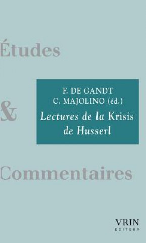 Könyv Lectures de La Krisis de Husserl Francois De Gandt