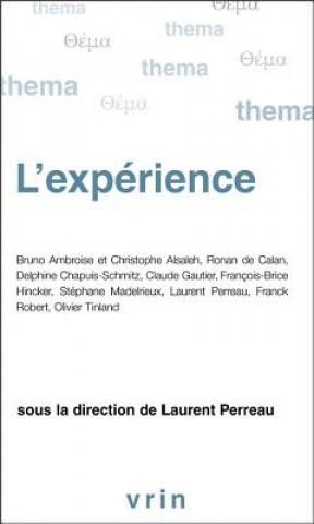 Kniha L'Experience Laurent Perreau