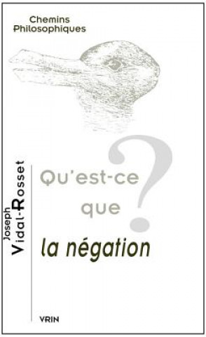 Könyv Qu'est-Ce Que La Negation? Joseph Vidal-Rosset