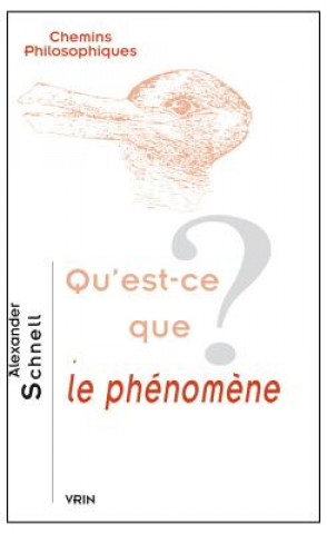 Kniha Qu'est-Ce Que Le Phenomene? Alexander Schnell