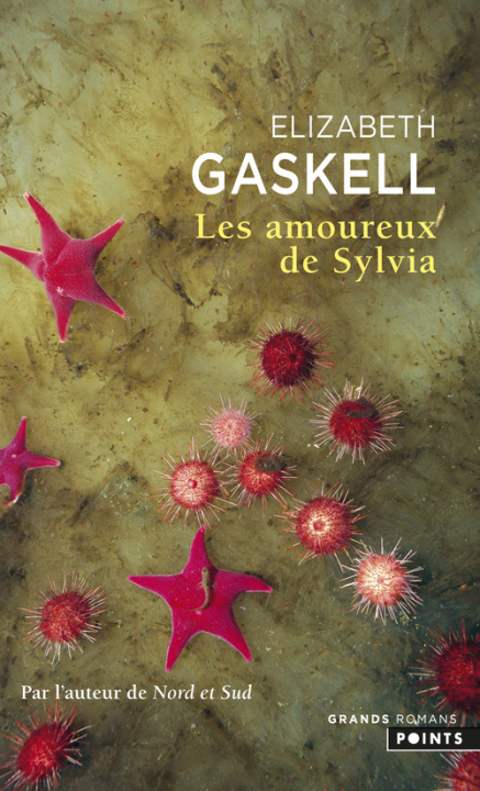 Buch Amoureux de Sylvia(les) Elizabeth Cleghorn Gaskell