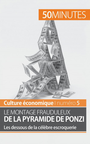 Buch montage frauduleux de la pyramide de Ponzi Ariane de Saeger