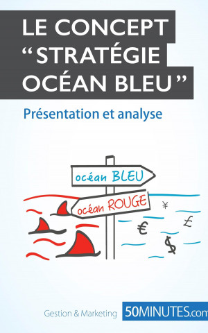 Könyv Strategie Ocean Bleu Pierre Pich?re