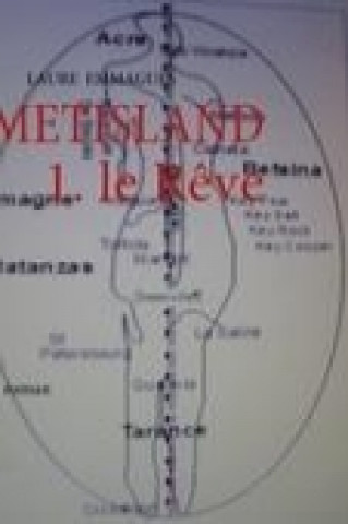 Kniha METISLAND Laure Emmagues