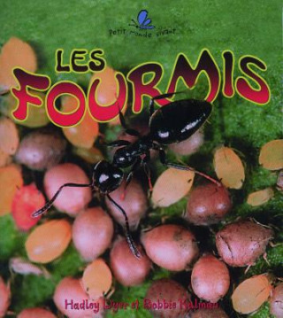 Kniha Les Fourmis Hadley Dyer