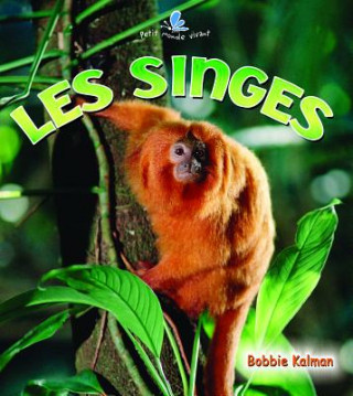 Carte Les Singes Molly Aloian