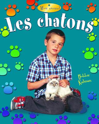 Kniha Les Chatons Niki Walker