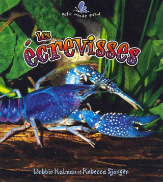 Carte Les 'Crevisses (the Life Cycle of a Crayfish) Bobbie Kalman
