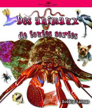 Kniha Des Animaux de Toutes Sortes = Many Kinds of Animals Molly Aloian