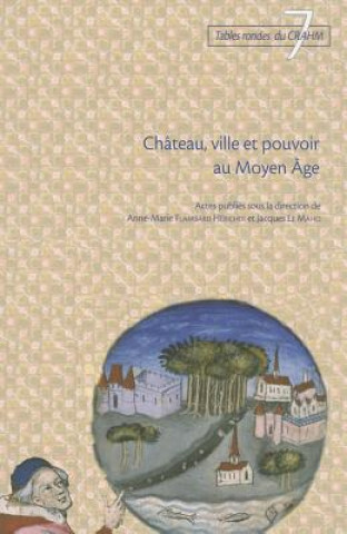 Carte Chateau, Ville Et Pouvoir Au Moyen Age Anne-Marie Flambard Hericher