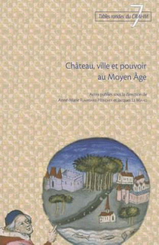 Buch Chateau, Ville Et Pouvoir Au Moyen Age Anne-Marie Flambard Hericher