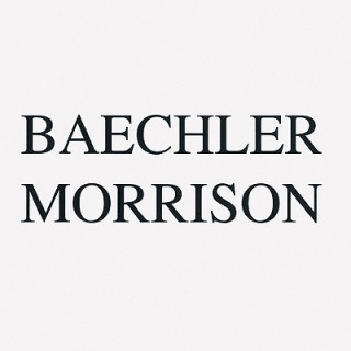 Buch Baechler/Morrison Donald Baechler