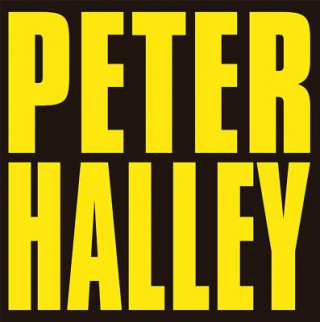 Buch Peter Halley: Since 2000 Peter Halley