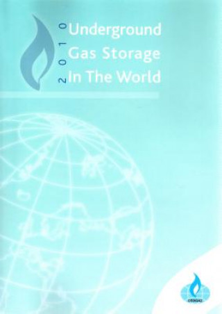 Книга Underground Gas Storage in the World Romain Benquey