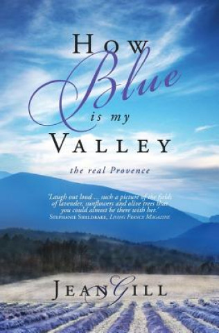 Kniha How Blue is My Valley Jean Gill