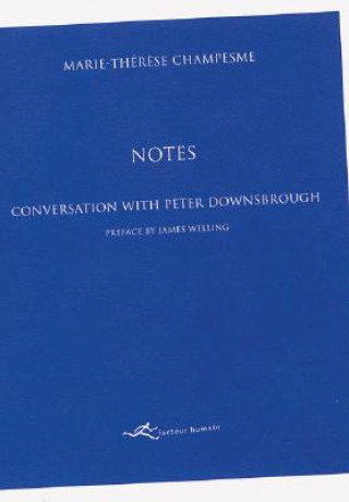 Buch Conversation with Peter Downsbrough James Welling