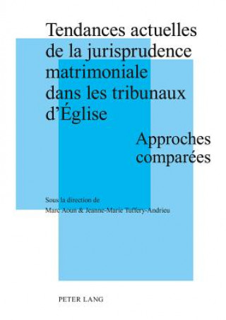 Carte Tendances Actuelles de la Jurisprudence Matrimoniale Dans Les Tribunaux d'Eglise Marc Aoun