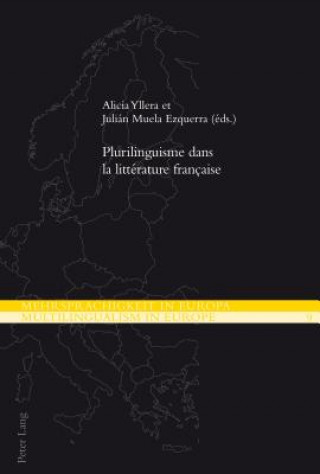 Könyv Plurilinguisme Dans La Litterature Francaise Alicia Yllera