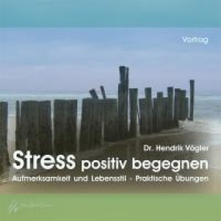 Audio Stress positiv begegnen Hendrik Vögler