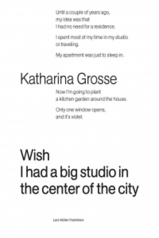 Kniha I Wish I Had a Big Studio in the Center of the City Katharina Grosse