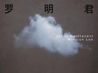 Knjiga Mingjun Luo Bernhard Fibicher