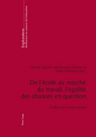 Kniha De l'ecole au marche du travail, l'egalite des chances en question Vincent Dupriez