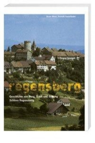 Buch Regensberg Bruno Meier