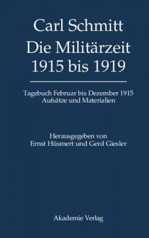 Książka Tagebucher, Die Militarzeit 1915 bis 1919 Ernst Hüsmert