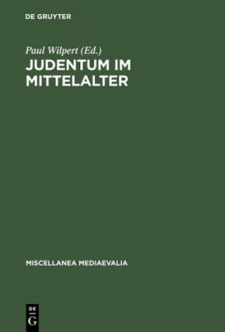Boek Judentum im Mittelalter Paul Wilpert