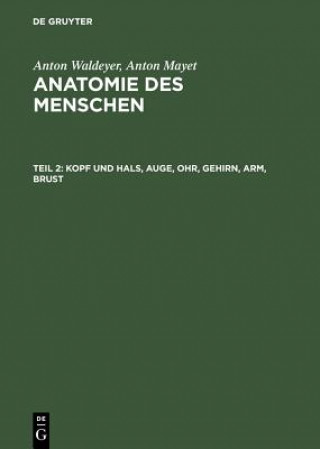 Kniha Kopf und Hals, Auge, Ohr, Gehirn, Arm, Brust Anton Waldeyer