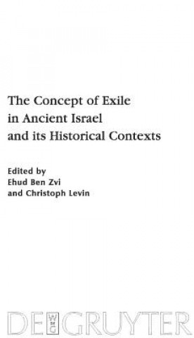 Könyv Concept of Exile in Ancient Israel and its Historical Contexts Ehud Ben Zvi