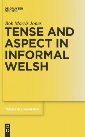 Knjiga Tense and Aspect in Informal Welsh Bob Morris Jones