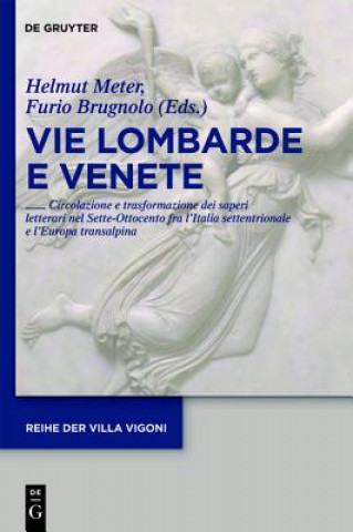 Libro Vie Lombarde e Venete Helmut Meter